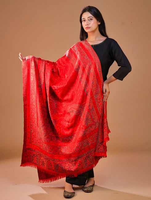 Women's Jamawar Aari Embroidery Wool Shawl